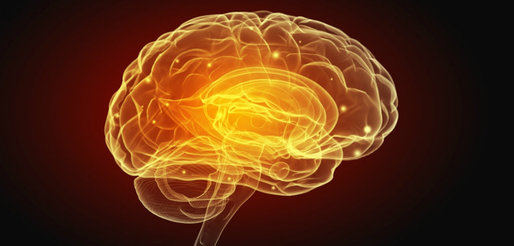 Are you feeding your BRAIN?